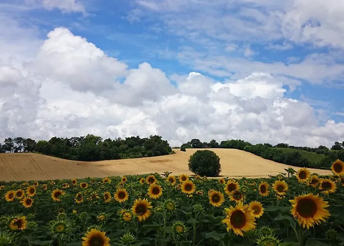 Valcastagno Relais & 乡村民宿 锡罗洛